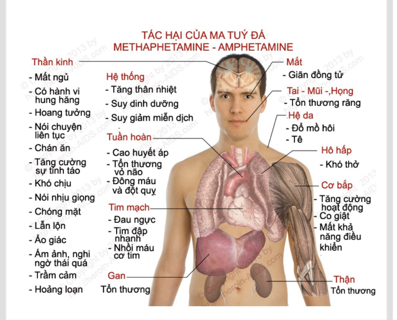 TÁC HẠI CỦA MA TÚY ĐỐI VỚI SỨC KHỎE TÂM THẦN